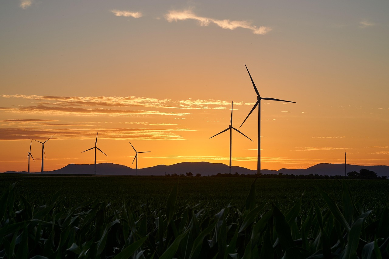 découvrez comment voyager de manière responsable et écoresponsable grâce à nos conseils pour un travel durable, des astuces pour réduire votre impact environnemental et des idées de destinations respectueuses de la planète.