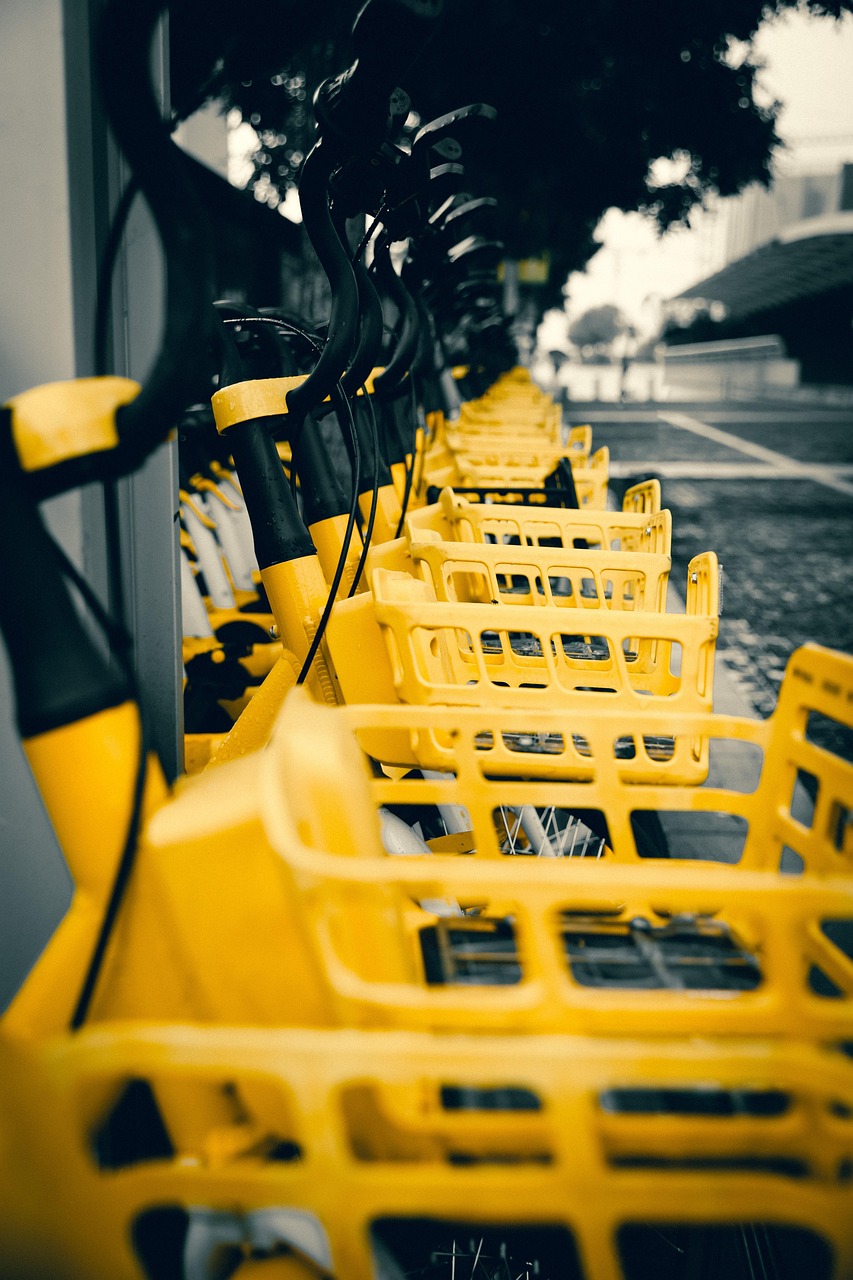 découvrez toutes les informations essentielles sur le transport, des solutions de mobilité urbaine aux innovations durables, pour faciliter vos déplacements au quotidien.