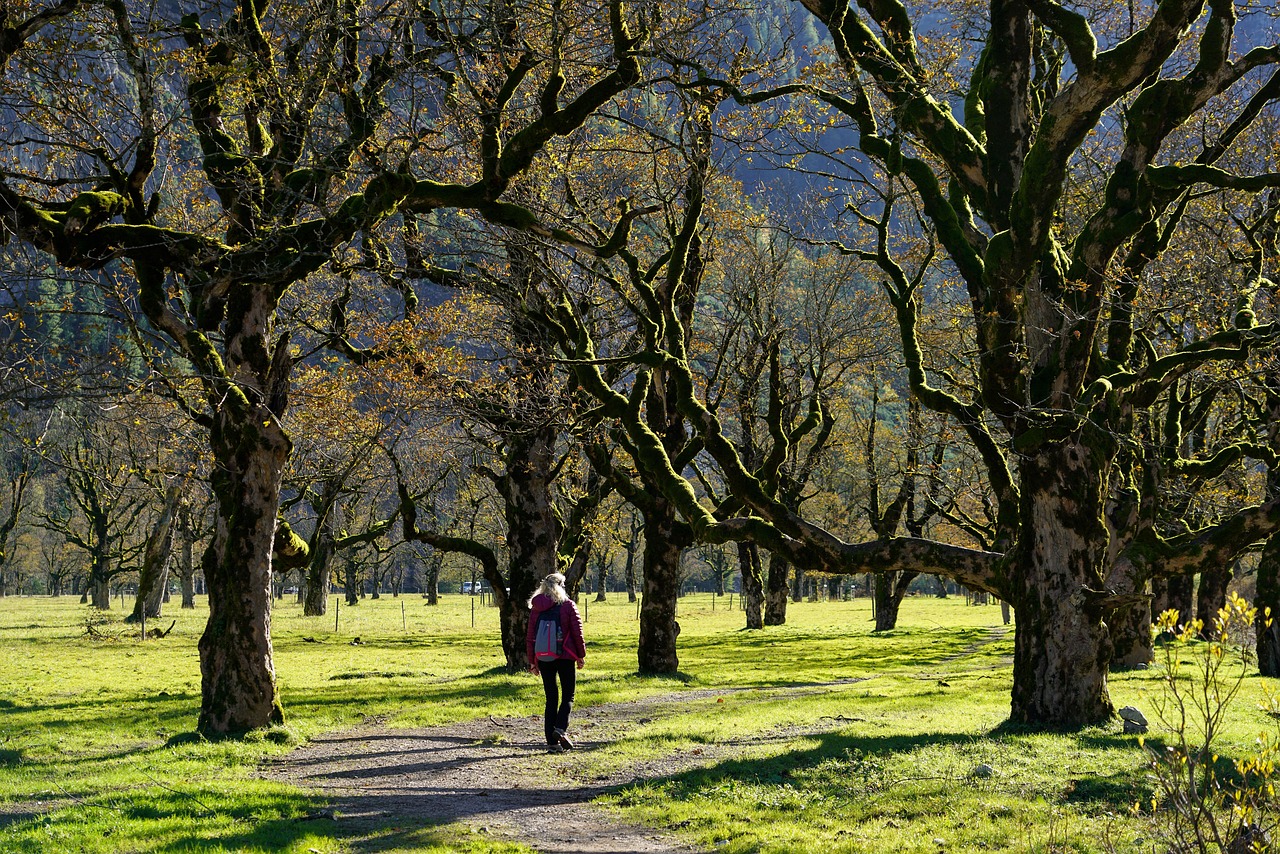 découvrez comment organiser un week-end surprise inoubliable, rempli d’idées originales pour s’évader et surprendre vos proches. astuces, conseils et destinations pour un séjour unique garanti !