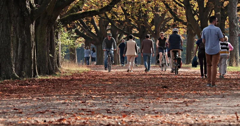 Quand visiter ces parcs ? La saisonnalité, ce grand oublié
