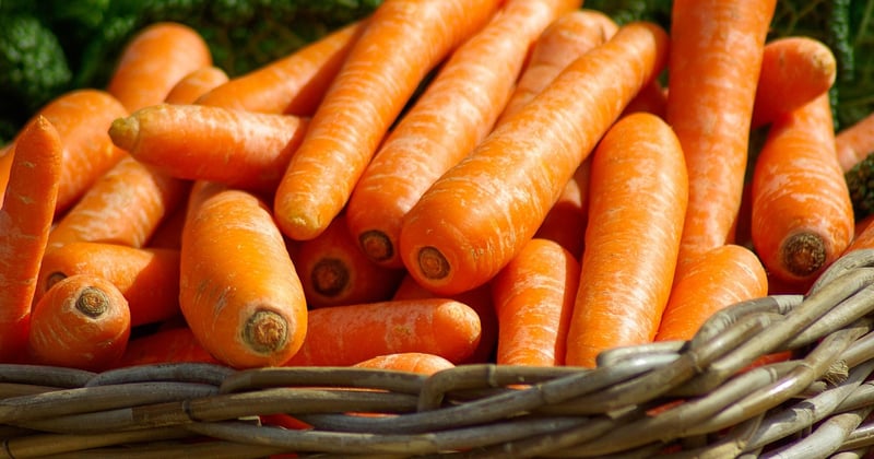 Fraichement bon : le secret des produits qui le restent vraiment