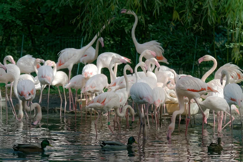 Quand visiter pour éviter la foule (et les mauvaises surprises)