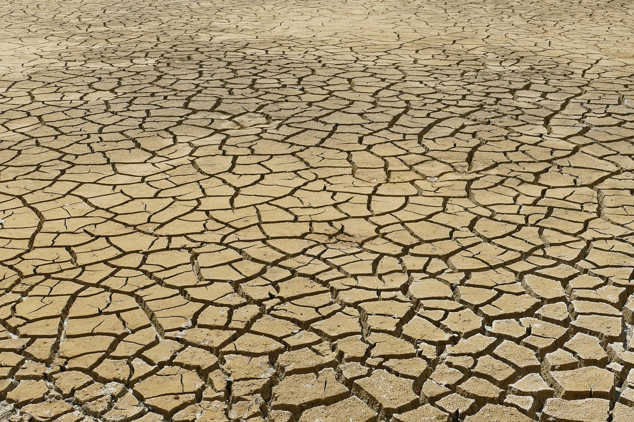 découvrez les impacts du changement climatique sur notre planète, les causes, et les solutions possibles pour un avenir durable. engagez-vous dans la lutte contre le dérèglement climatique dès aujourd'hui !