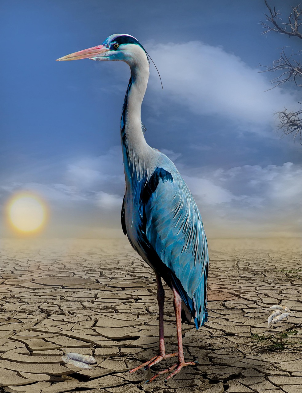 découvrez l'impact du changement climatique sur notre planète, ses causes, ses conséquences et les solutions que nous pouvons adopter pour un avenir durable. agissons ensemble pour préserver notre environnement.