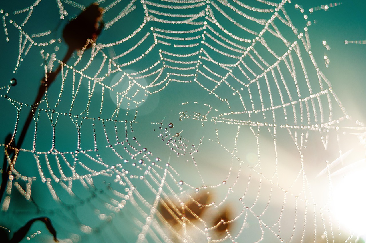 découvrez les core web vitals, des indicateurs essentiels pour évaluer la performance de votre site web. améliorez l'expérience utilisateur et optimisez votre référencement grâce à des conseils pratiques et des outils adaptés.