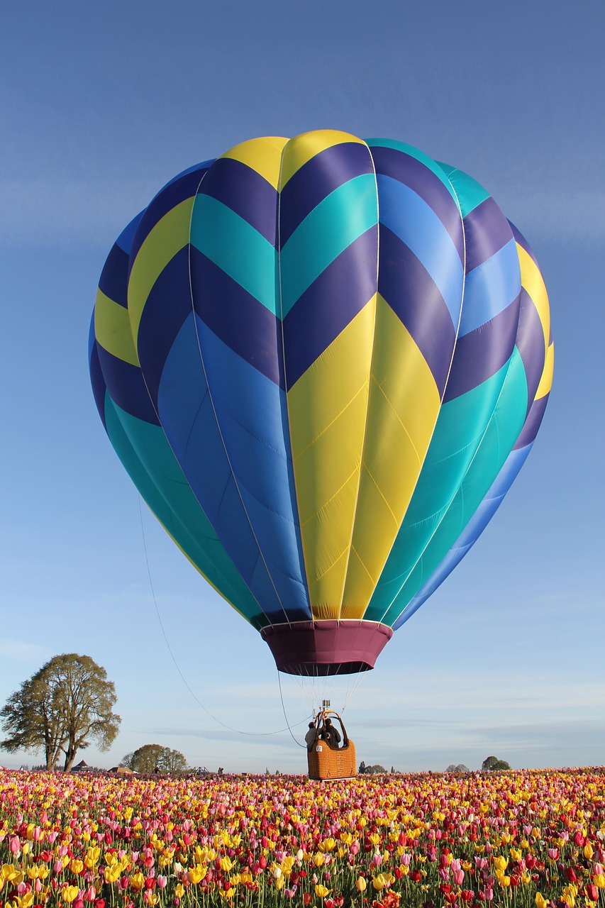découvrez l'expérience inoubliable d'un vol en montgolfière : survolez des paysages à couper le souffle et vivez une aventure unique en toute sécurité. réservez votre envol dès maintenant !